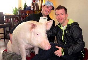 Steve, Derek and Esther the Wonder Pig